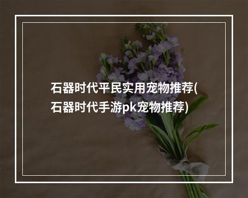 石器时代平民实用宠物推荐(石器时代手游pk宠物推荐)