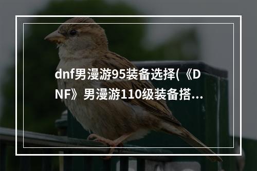 dnf男漫游95装备选择(《DNF》男漫游110级装备搭配详解 )