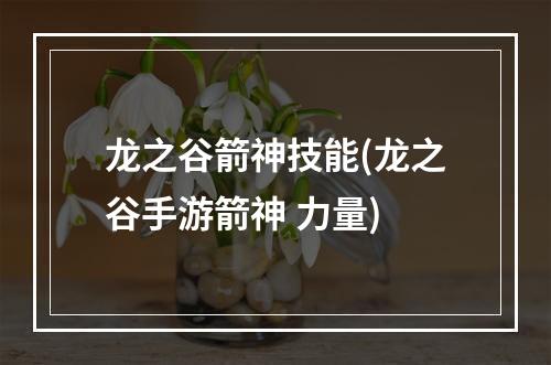 龙之谷箭神技能(龙之谷手游箭神 力量)