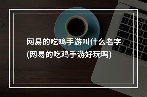 网易的吃鸡手游叫什么名字(网易的吃鸡手游好玩吗)