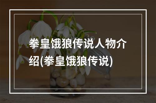 拳皇饿狼传说人物介绍(拳皇饿狼传说)