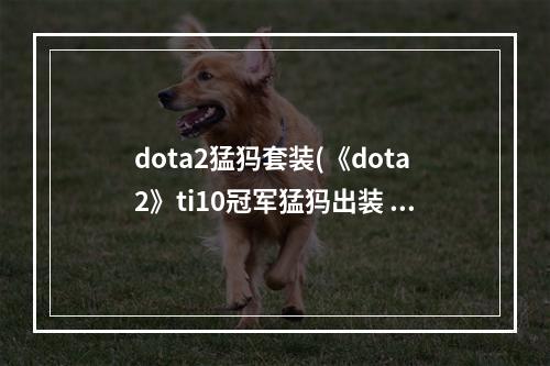 dota2猛犸套装(《dota2》ti10冠军猛犸出装 冠军猛犸装备详情 机游 )