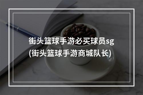 街头篮球手游必买球员sg(街头篮球手游商城队长)