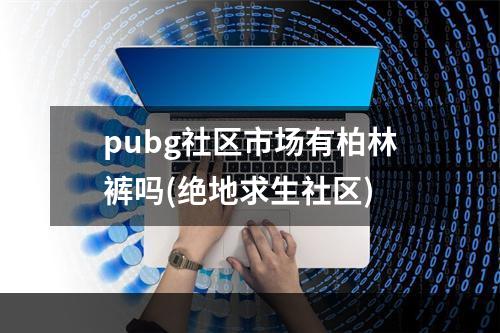 pubg社区市场有柏林裤吗(绝地求生社区)