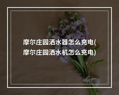 摩尔庄园洒水器怎么充电(摩尔庄园洒水机怎么充电)