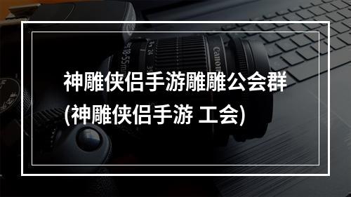 神雕侠侣手游雕雕公会群(神雕侠侣手游 工会)