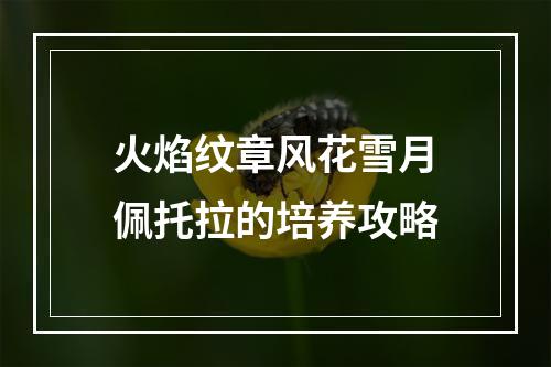 火焰纹章风花雪月佩托拉的培养攻略