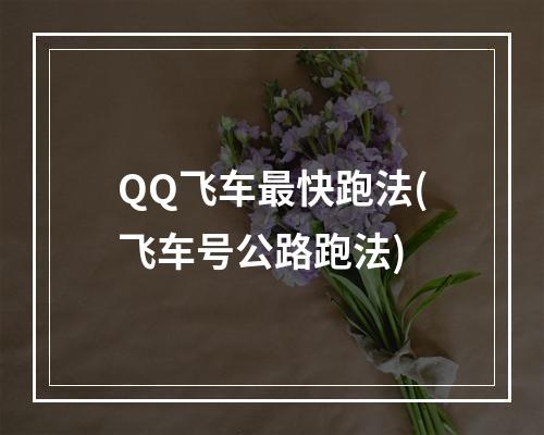 QQ飞车最快跑法(飞车号公路跑法)