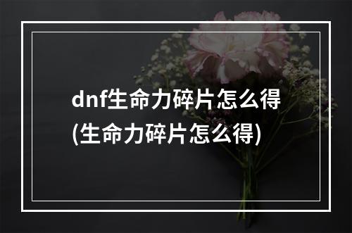 dnf生命力碎片怎么得(生命力碎片怎么得)