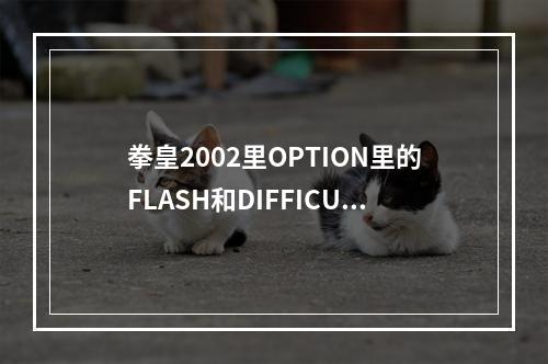 拳皇2002里OPTION里的FLASH和DIFFICULTY是什么意思？(拳皇flash)