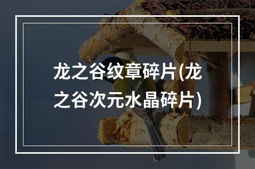 龙之谷纹章碎片(龙之谷次元水晶碎片)