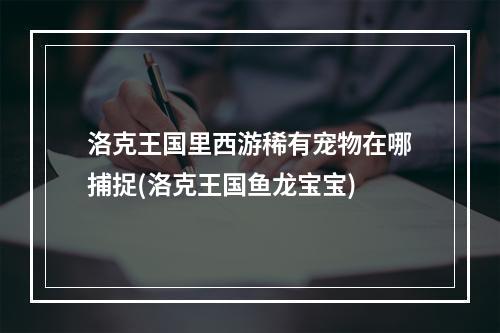 洛克王国里西游稀有宠物在哪捕捉(洛克王国鱼龙宝宝)