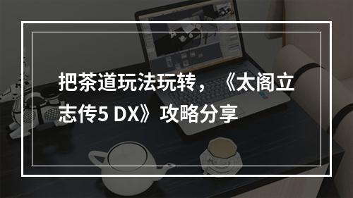 把茶道玩法玩转，《太阁立志传5 DX》攻略分享