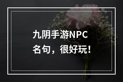 九阴手游NPC名句，很好玩！