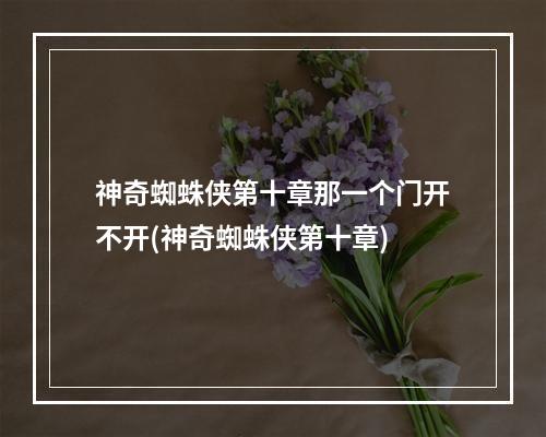 神奇蜘蛛侠第十章那一个门开不开(神奇蜘蛛侠第十章)