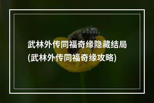 武林外传同福奇缘隐藏结局(武林外传同福奇缘攻略)