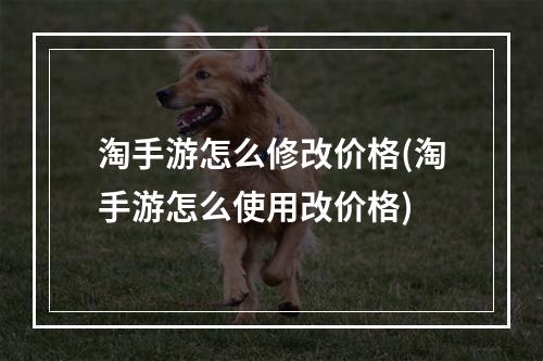 淘手游怎么修改价格(淘手游怎么使用改价格)