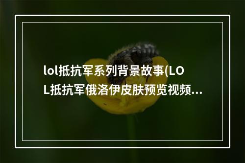 lol抵抗军系列背景故事(LOL抵抗军俄洛伊皮肤预览视频 抵抗军俄洛伊特效展示)