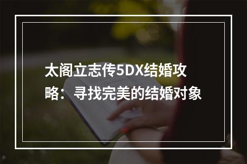 太阁立志传5DX结婚攻略：寻找完美的结婚对象