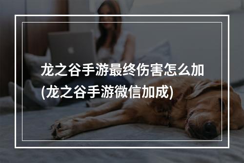 龙之谷手游最终伤害怎么加(龙之谷手游微信加成)