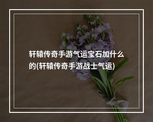 轩辕传奇手游气运宝石加什么的(轩辕传奇手游战士气运)