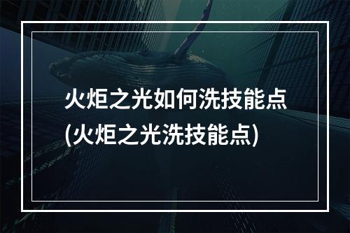 火炬之光如何洗技能点(火炬之光洗技能点)