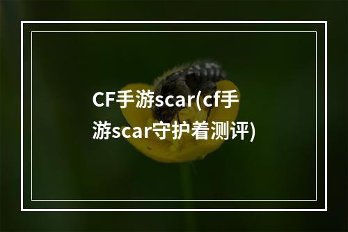 CF手游scar(cf手游scar守护着测评)