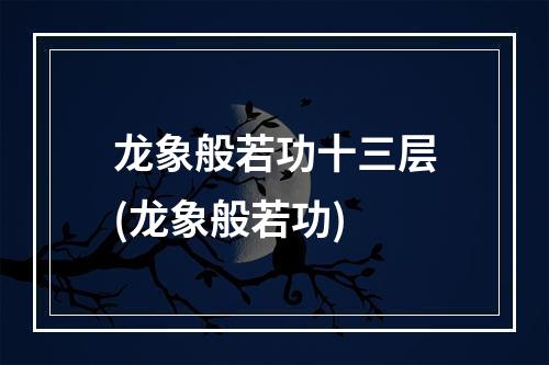 龙象般若功十三层(龙象般若功)