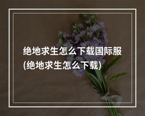 绝地求生怎么下载国际服(绝地求生怎么下载)