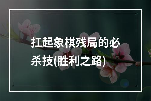 扛起象棋残局的必杀技(胜利之路)