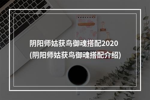 阴阳师姑获鸟御魂搭配2020(阴阳师姑获鸟御魂搭配介绍)