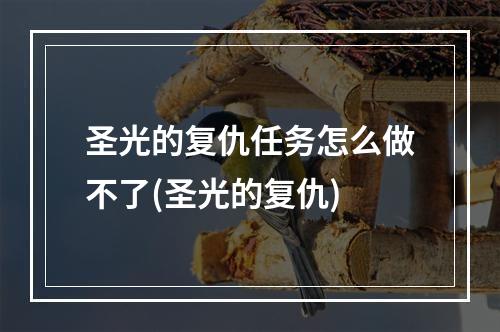 圣光的复仇任务怎么做不了(圣光的复仇)