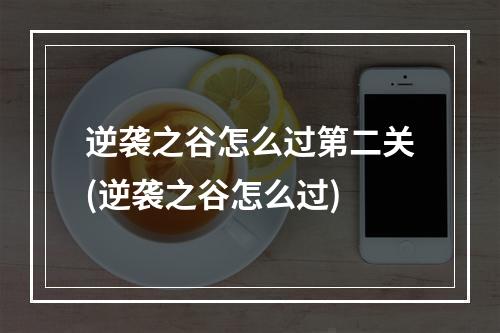 逆袭之谷怎么过第二关(逆袭之谷怎么过)