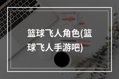 篮球飞人角色(篮球飞人手游吧)