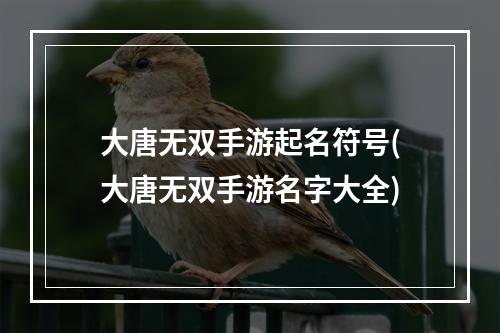 大唐无双手游起名符号(大唐无双手游名字大全)