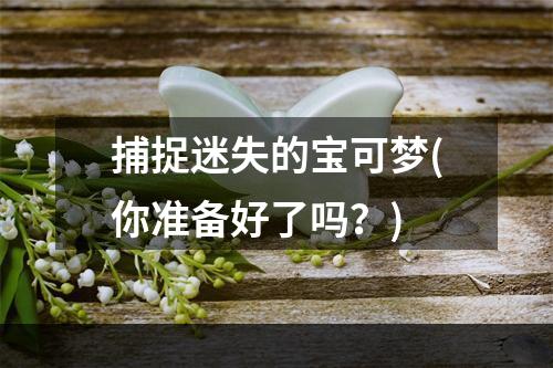 捕捉迷失的宝可梦(你准备好了吗？)