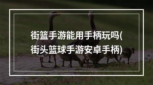 街篮手游能用手柄玩吗(街头篮球手游安卓手柄)