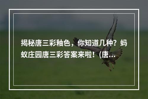 揭秘唐三彩釉色，你知道几种？蚂蚁庄园唐三彩答案来啦！(唐三彩色彩缤纷，更有深意，蚂蚁庄园玩家有福了！)