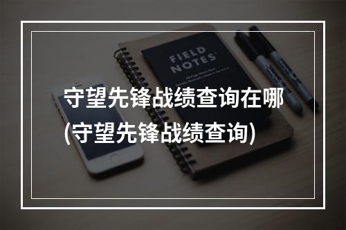 守望先锋战绩查询在哪(守望先锋战绩查询)