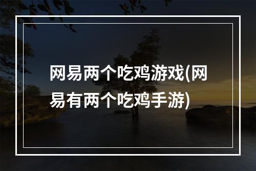 网易两个吃鸡游戏(网易有两个吃鸡手游)