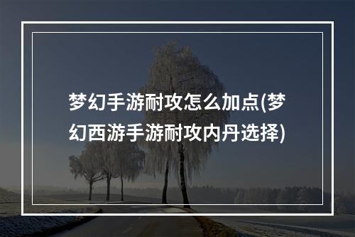 梦幻手游耐攻怎么加点(梦幻西游手游耐攻内丹选择)