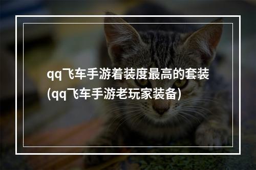 qq飞车手游着装度最高的套装(qq飞车手游老玩家装备)