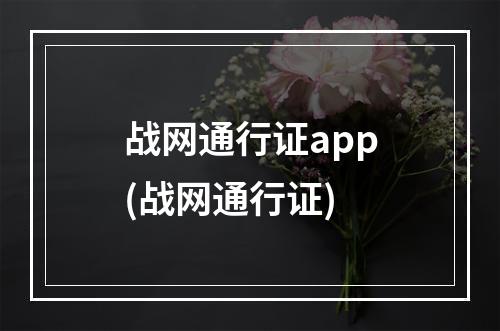 战网通行证app(战网通行证)