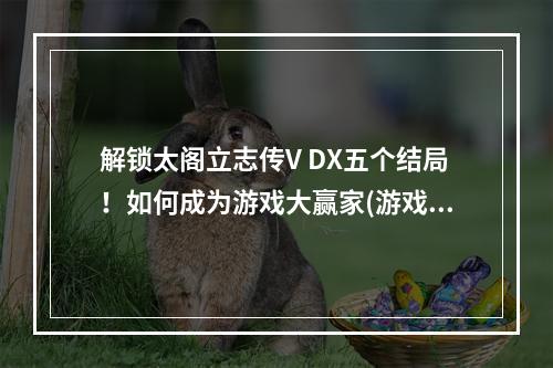 解锁太阁立志传V DX五个结局！如何成为游戏大赢家(游戏攻略)