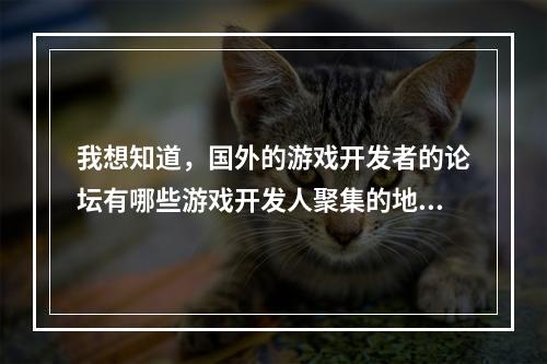 我想知道，国外的游戏开发者的论坛有哪些游戏开发人聚集的地方注：是国外的哦....中国的就不用写了(游戏开发论坛)