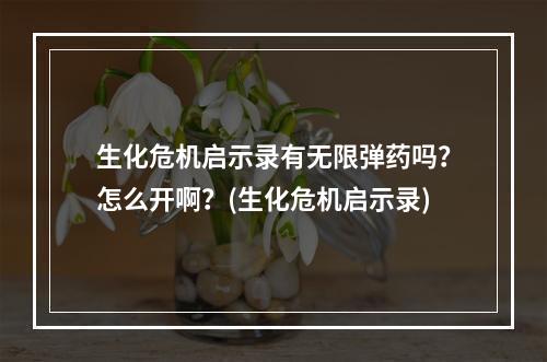 生化危机启示录有无限弹药吗？怎么开啊？(生化危机启示录)