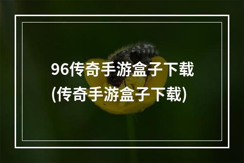 96传奇手游盒子下载(传奇手游盒子下载)