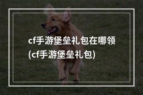 cf手游堡垒礼包在哪领(cf手游堡垒礼包)