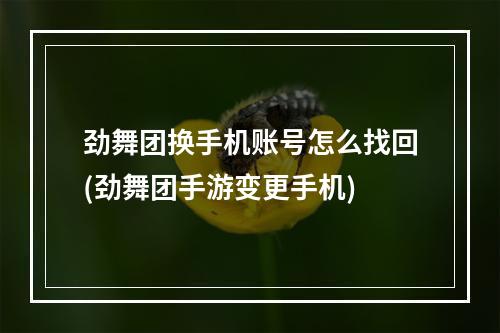 劲舞团换手机账号怎么找回(劲舞团手游变更手机)