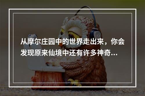 从摩尔庄园中的世界走出来，你会发现原来仙境中还有许多神奇的生物等待着你去发现。其中就有一种可爱的小动物——雪獭。那么，如何才能在摩尔庄园手游中成功地钓到雪獭呢？